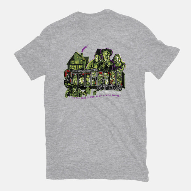 Greetings From The Sandersons-womens fitted tee-goodidearyan