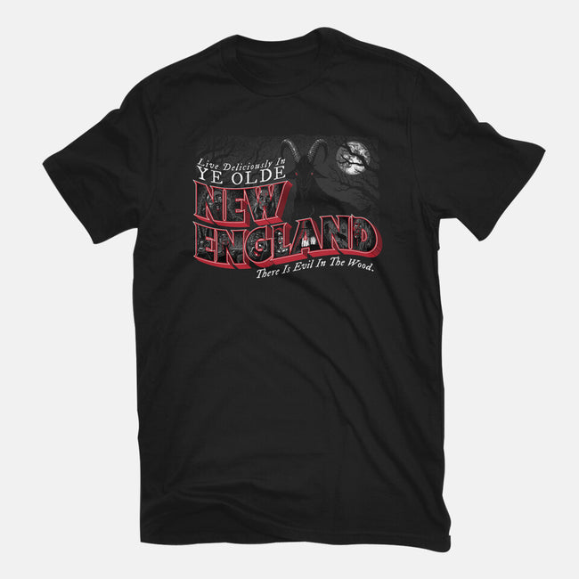 Live Deliciously In Olde New England-womens fitted tee-goodidearyan
