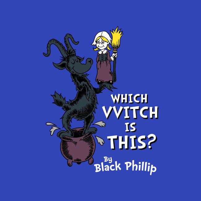 Which VVitch Is This?-none matte poster-Nemons