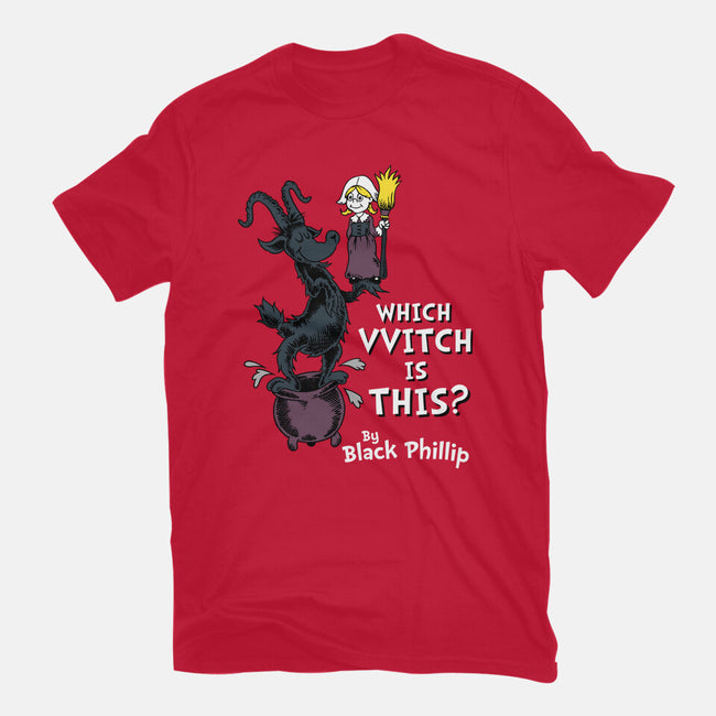 Which VVitch Is This?-womens fitted tee-Nemons