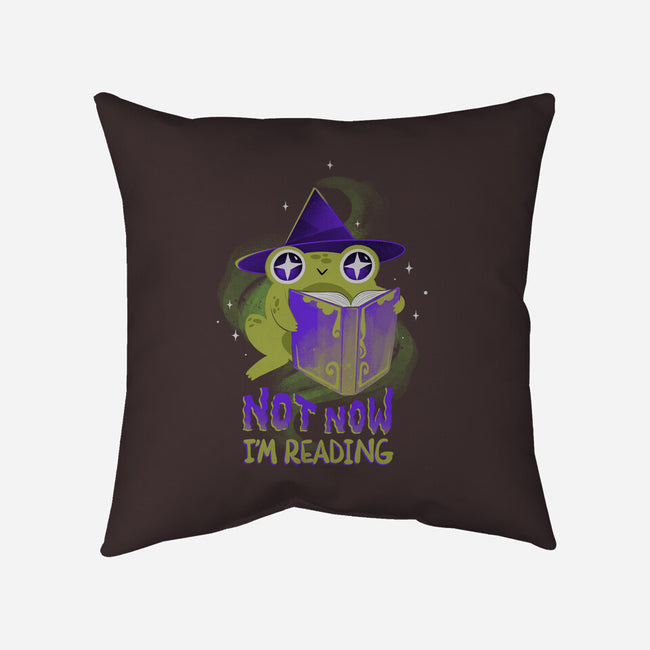 Not Now! I'm Reading-none non-removable cover w insert throw pillow-ricolaa