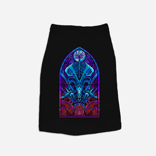 Temple Of Creation-cat basic pet tank-daobiwan