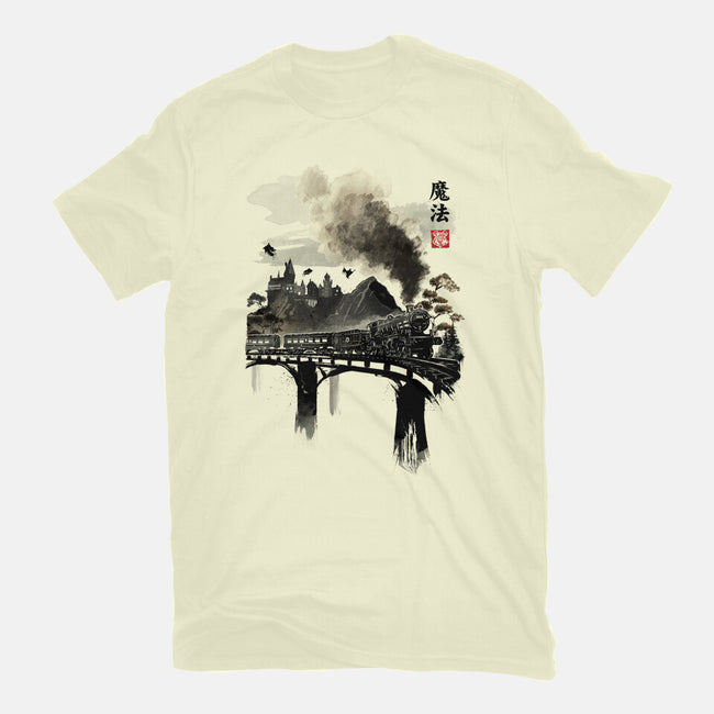 Train To School Of Magic-mens basic tee-DrMonekers