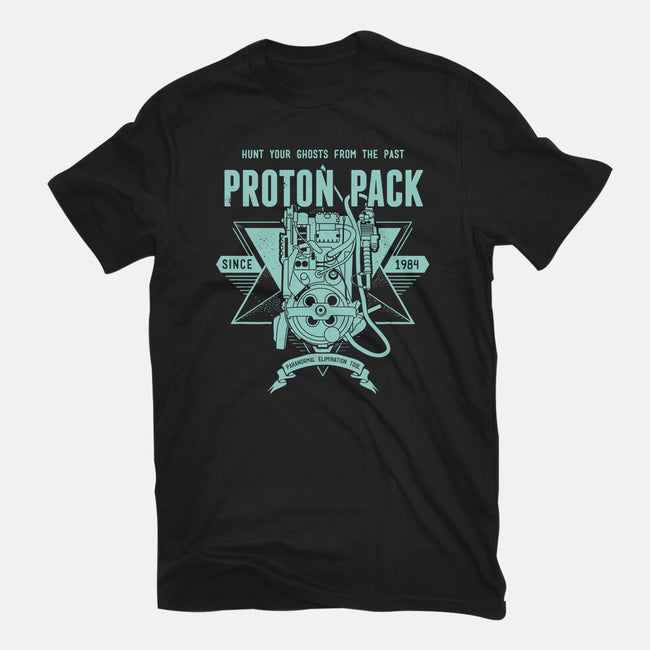 Hunting Ghosts From The Past-mens heavyweight tee-manospd