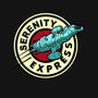 Express Through The Verse-womens basic tee-athelstan