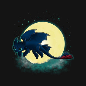 Goodnight Fury