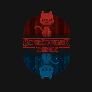 Schrodinger Things