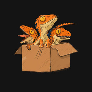 Adopt a Raptor