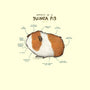 Anatomy of a Guinea Pig-unisex basic tank-SophieCorrigan