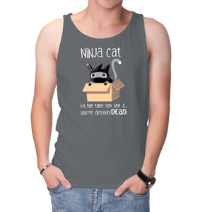 Ninja Cat
