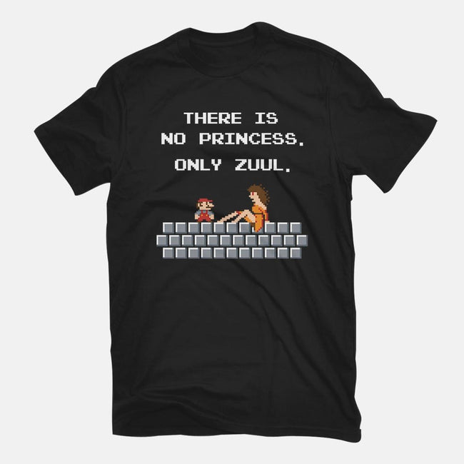 There Is No Princess-youth basic tee-mikehandyart