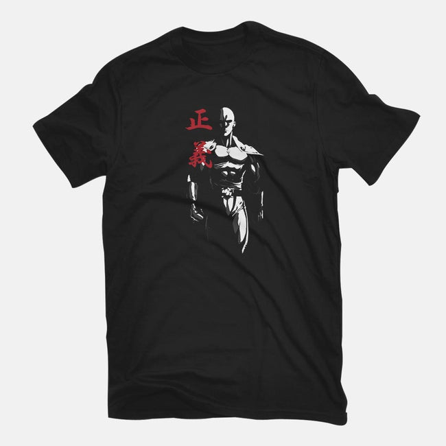 The Hero!-womens fitted tee-Sampool