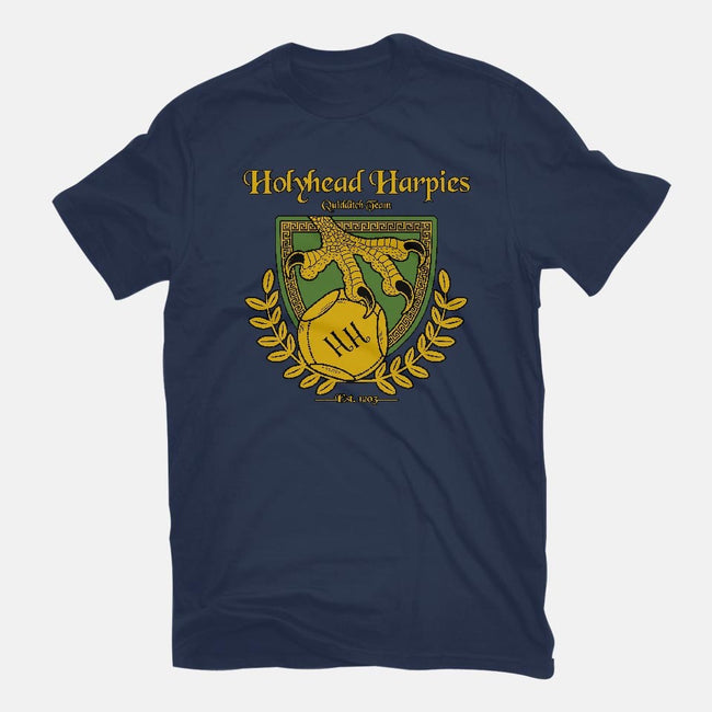 Holyhead Harpies-mens long sleeved tee-IceColdTea