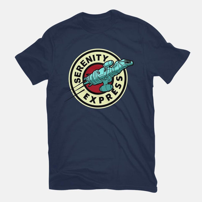 Express Through The Verse-womens basic tee-athelstan
