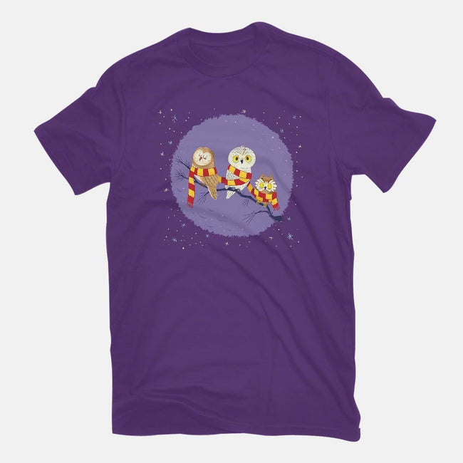 Owl Post-mens basic tee-Miranda Dressler
