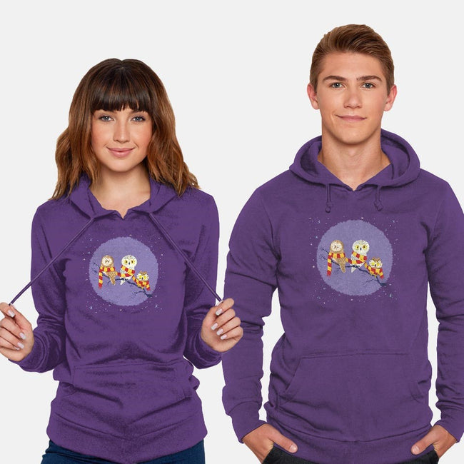 Owl Post-unisex pullover sweatshirt-Miranda Dressler