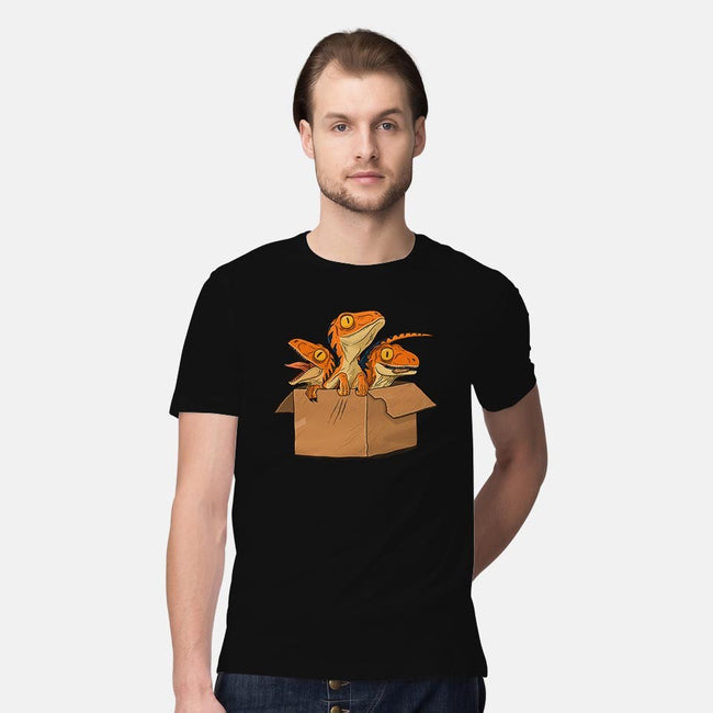 Adopt a Raptor-mens premium tee-ppmid