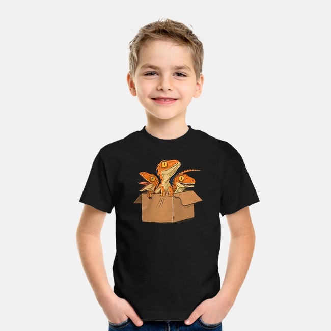 Adopt a Raptor-youth basic tee-ppmid